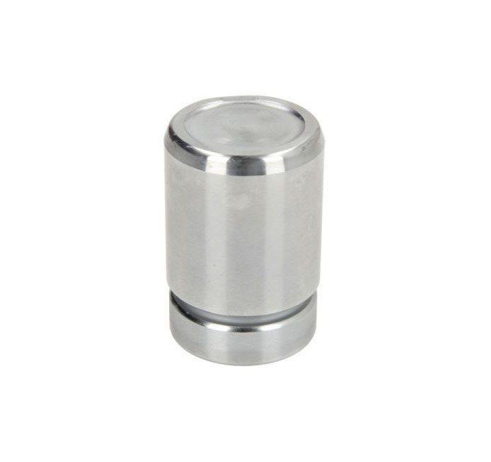 LTD Pistoncino pinza freno LTD-211 LTD LTD-211 Pistoncino pinza freno Peugeot 406 Coupe originale prezzo
