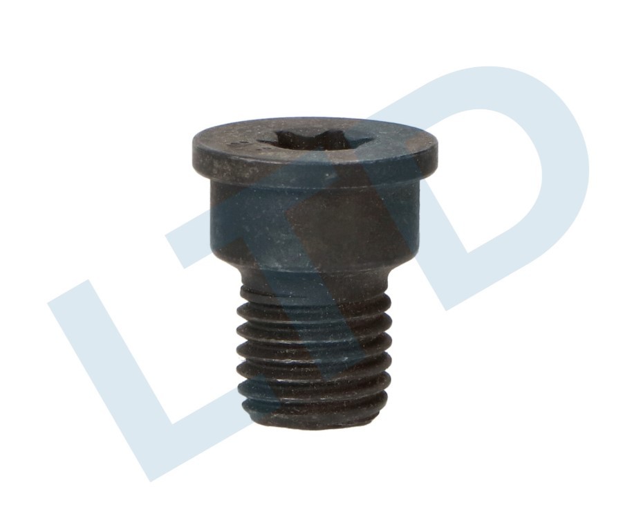 LTD Parafuso, disco de travão LTD-N91028202 Parafuso, disco de travão LTD Classe B LTD-N91028202 baratos