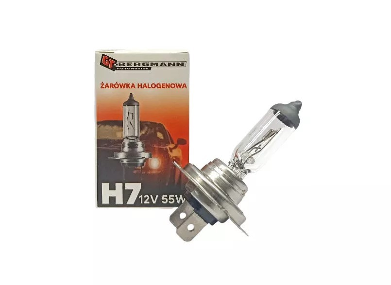 GT-BERGMANN Żiarovka pre diaľkový svetlomet GT40-020 Ziarovky do hmloviek GT-BERGMANN RENAULT GT40-020