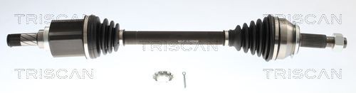 TRISCAN Semiasse 8540 25751 8540 25751 Semiasse TRISCAN RENAULT MASTER costo
