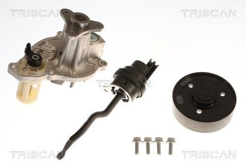 TRISCAN Vannpumpe 8600 11067 8600 11067 Vannpumpe BMW 4-serie TRISCAN