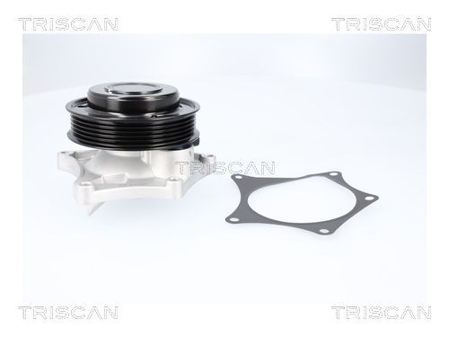 TRISCAN Vandpumpe 8600 24063 Vandpumpe TRISCAN REKORD 8600 24063 billig
