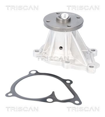 TRISCAN Pompa acqua 8600 43033 8600 43033 TRISCAN Pompa radiatore HYUNDAI prezzo