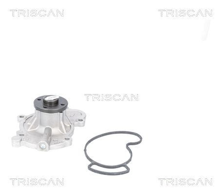 TRISCAN Vandpumpe 8600 69015 8600 69015 Vandpumpe SUZUKI ALTO TRISCAN