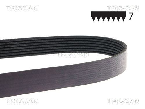 TRISCAN Kilerem 8640 701165SF 8640 701165SF Multirem DACIA LODGY TRISCAN