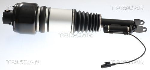 TRISCAN Ilmajousijalka 8720 23106 8720 23106 TRISCAN Ilmajousitus Opel MONZA hinta