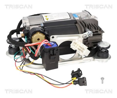 TRISCAN Συμπιεστής ανάρτησης αέρα 8725 11106 Αερανάρτηση TRISCAN ULYSSE 8725 11106 φθηνά