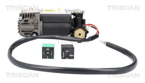 TRISCAN Compressor voor de luchtvering 8725 11107 Mercedes-Benz M-Klasse Luchtveerbalg TRISCAN 8725 11107