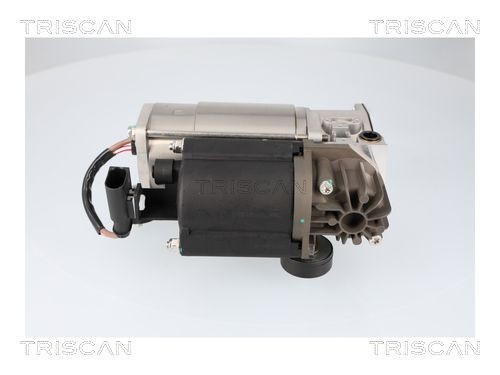 TRISCAN Compressor voor de luchtvering 8725 15001 Mercedes-Benz M-Klasse Veerbalg TRISCAN 8725 15001