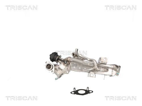 TRISCAN Radiatore EGR 8813 11024 8813 11024 costo Radiatore gas di scarico DACIA SANDERO TRISCAN