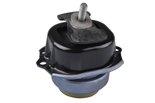 Paigutus, Mootor TEDGUM TED91684 TEDGUM TED91684 BMW X6 2011 Mootoripadi