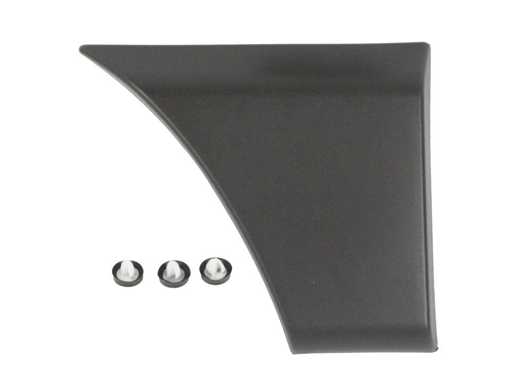ABAKUS Modanatura decorativa / protettiva, Portiera 137-02-065 137-02-065 Modanatura ABAKUS RENAULT TALISMAN costo