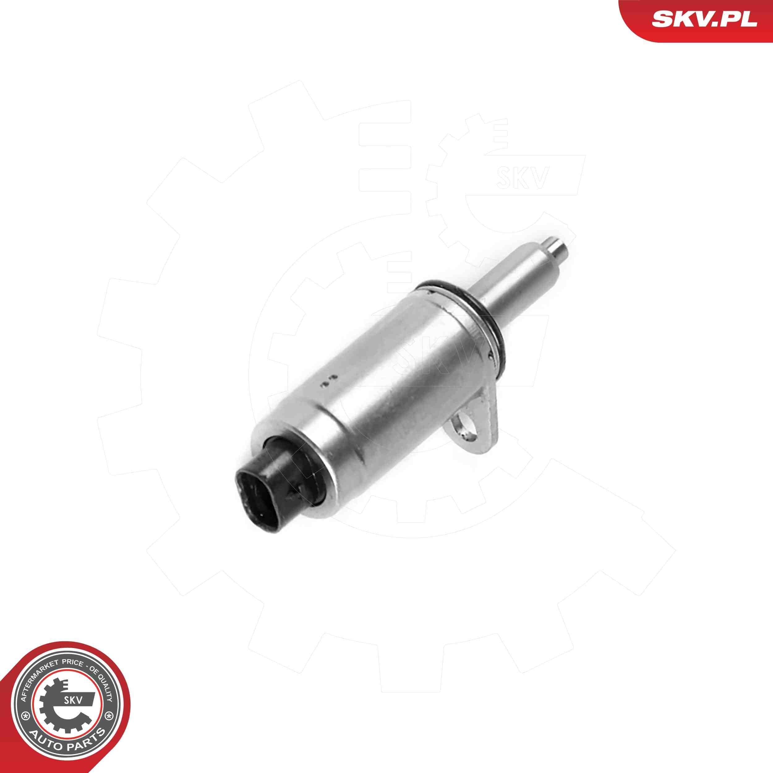 ESEN SKV Säätöventtiili, nokka-akselin ajoitus (VVT) 39SKV098 39SKV098 ESEN SKV Säätöventtiili, nokka-akselin ajoitus (vvt) Audi Q5 hinta