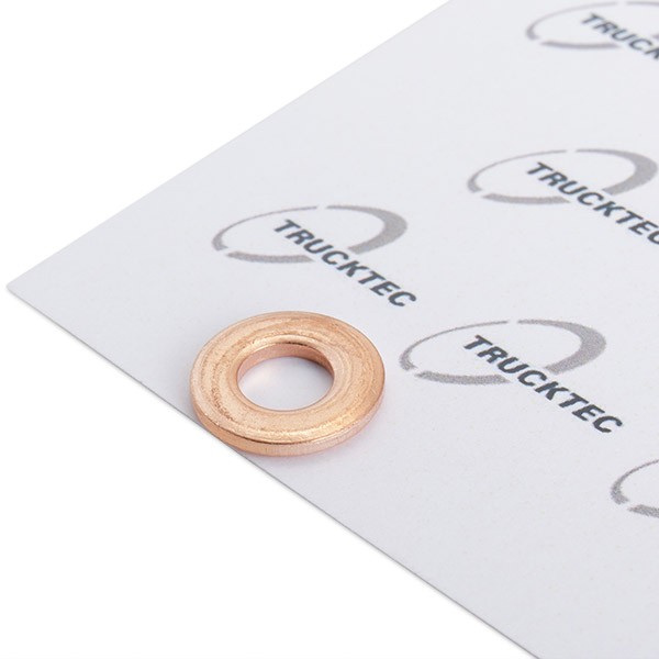 TRUCKTEC AUTOMOTIVE Kaitseseib, sissepritsesüsteem 02.10.080 02.10.080 Kaitseseib, sissepritsesüsteem VOLVO 850 TRUCKTEC AUTOMOTIVE