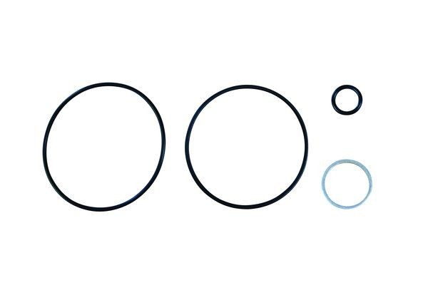 TRUCKTEC AUTOMOTIVE Gasket Set, hydraulic pump 02.43.031 TRUCKTEC AUTOMOTIVE 02.43.031 Seat Cordoba 6K1 gasket set, hydraulic pump price