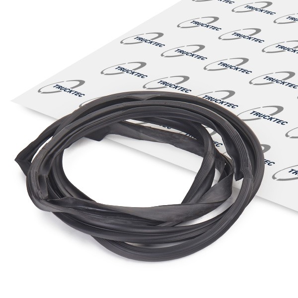 Guarnizione portiera TRUCKTEC AUTOMOTIVE 02.53.050 TRUCKTEC AUTOMOTIVE 02.53.050 Guarnizioni finestrini Toyota PRIUS 2005