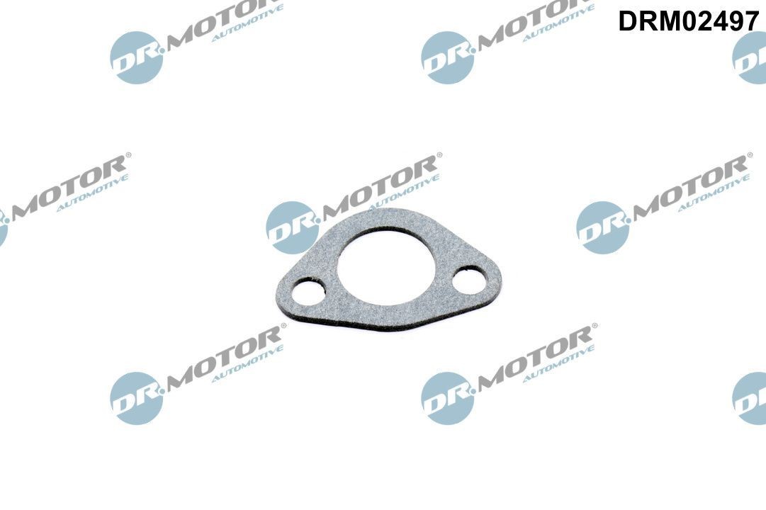 DR.MOTOR AUTOMOTIVE Gasket, coolant flange DRM02497 DRM02497 DR.MOTOR AUTOMOTIVE gasket, coolant flange for SAAB 9-7X