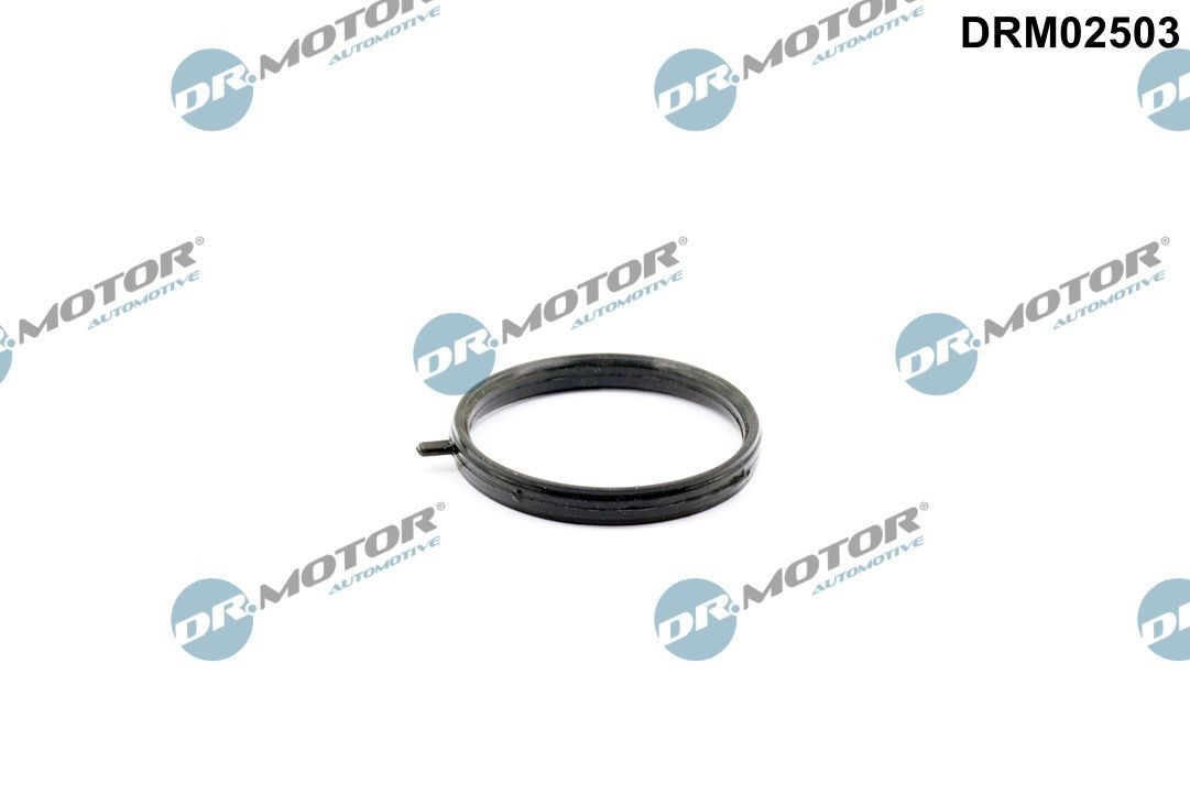 DR.MOTOR AUTOMOTIVE Pakking, koelmiddelbuis DRM02503 DR.MOTOR AUTOMOTIVE DRM02503 Pakking, koelmiddelbuis