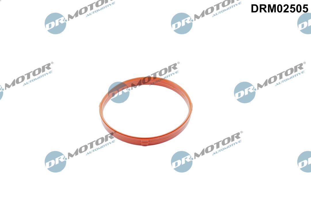 DR.MOTOR AUTOMOTIVE Guarnizione, manicotto della valvola a farfalla DRM02505 DR.MOTOR AUTOMOTIVE DRM02505 costo Corpo farfallato Alpina D3 E90 originale