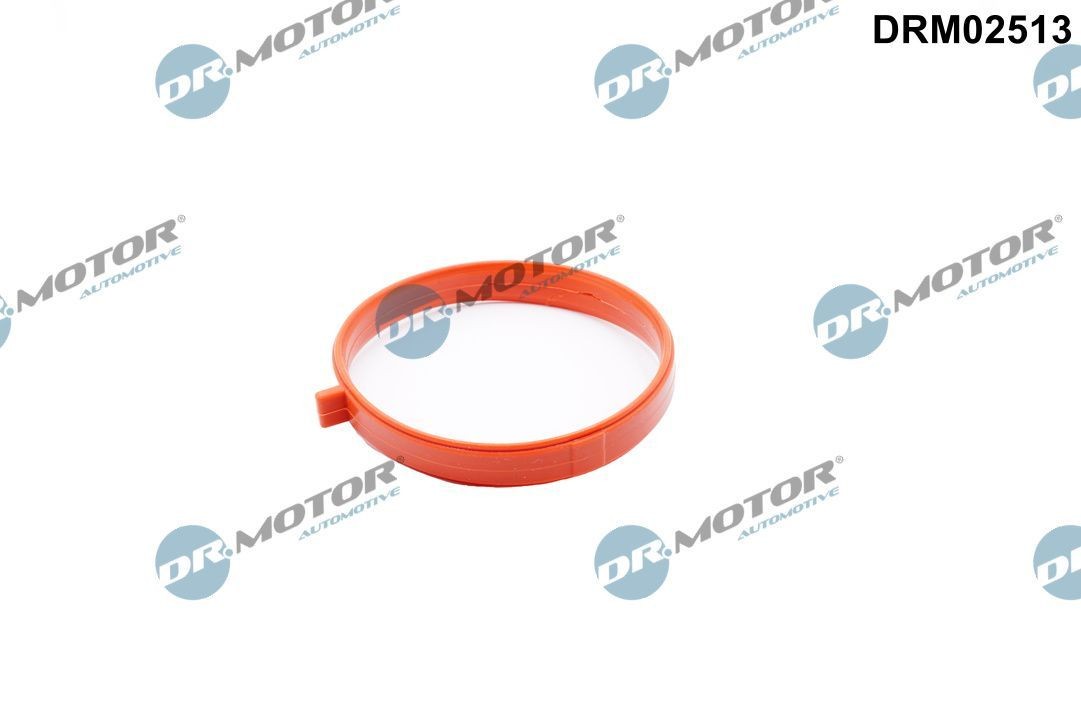 DR.MOTOR AUTOMOTIVE Pakking, smoorklepaansluiting DRM02513 DR.MOTOR AUTOMOTIVE Gasklep OPEL DRM02513