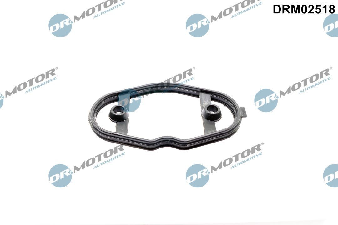 DR.MOTOR AUTOMOTIVE Gasket, fuel pump DRM02518 FORD TOURNEO CONNECT DR.MOTOR AUTOMOTIVE gasket, fuel pump DRM02518