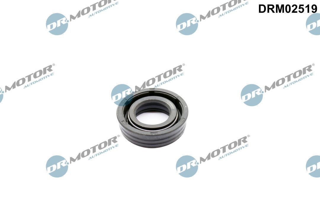 DR.MOTOR AUTOMOTIVE Tesnenie, nastavenie vačkového hriadeľa DRM02519 DR.MOTOR AUTOMOTIVE DRM02519 Tesnenie, nastavenie vačkového hriadeľa