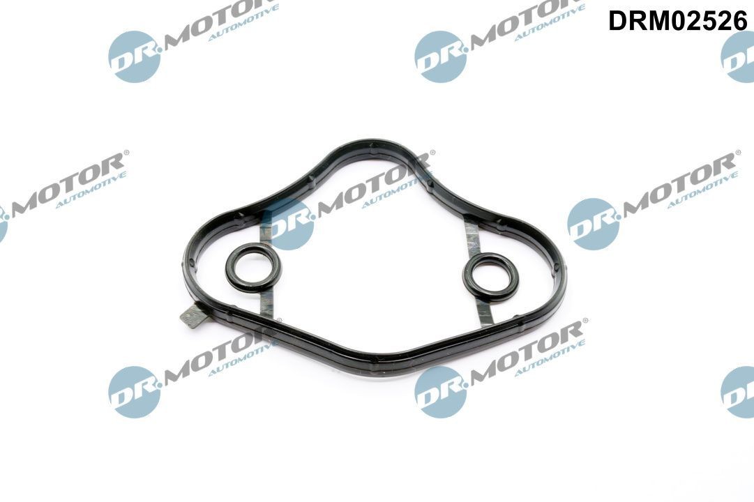 DR.MOTOR AUTOMOTIVE Gasket, fuel pump DRM02526 Ford TOURNEO CONNECT DR.MOTOR AUTOMOTIVE gasket, fuel pump DRM02526