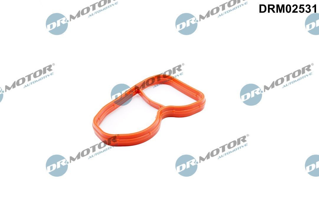 Guarnizione, Collettore aspirazione DR.MOTOR AUTOMOTIVE DRM02531 DR.MOTOR AUTOMOTIVE DRM02531 Guarnizione collettore aspirazione BMW X3 2021