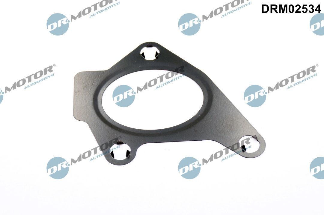 DR.MOTOR AUTOMOTIVE Ansaugkrümmer-Dichtung DRM02534 DR.MOTOR AUTOMOTIVE DRM02534 Ansaugkrümmerdichtung DS Kosten