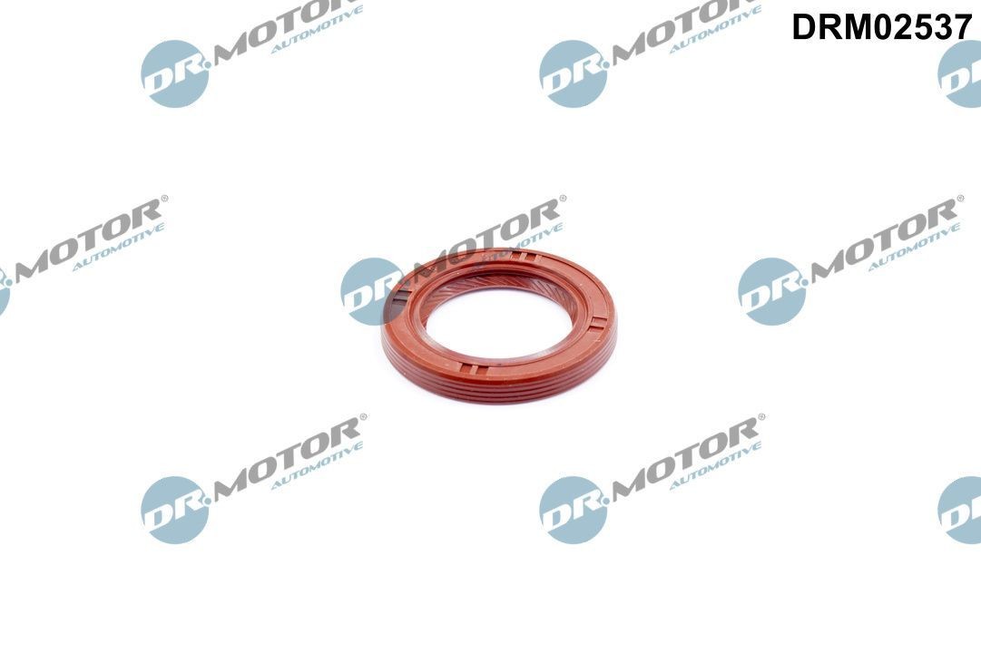 DR.MOTOR AUTOMOTIVE Retentor, árvore de cames DRM02537 Retentor da árvore de cames DR.MOTOR AUTOMOTIVE Chevrolet MALIBU DRM02537