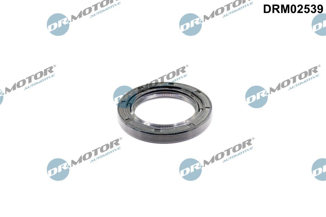 DR.MOTOR AUTOMOTIVE Tesniaci krúżok kľukového hriadeľa DRM02539 DR.MOTOR AUTOMOTIVE DRM02539 Tesniaci krúżok kľukového hriadeľa Musso SUV cena