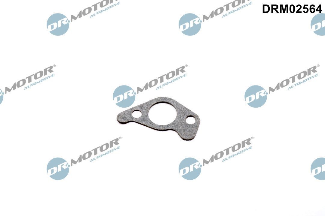 DR.MOTOR AUTOMOTIVE Guarnizione, Pompa olio DRM02564 DR.MOTOR AUTOMOTIVE DRM02564 Guarnizione pompa olio BMW X6 (G06, F96) originali prezzo