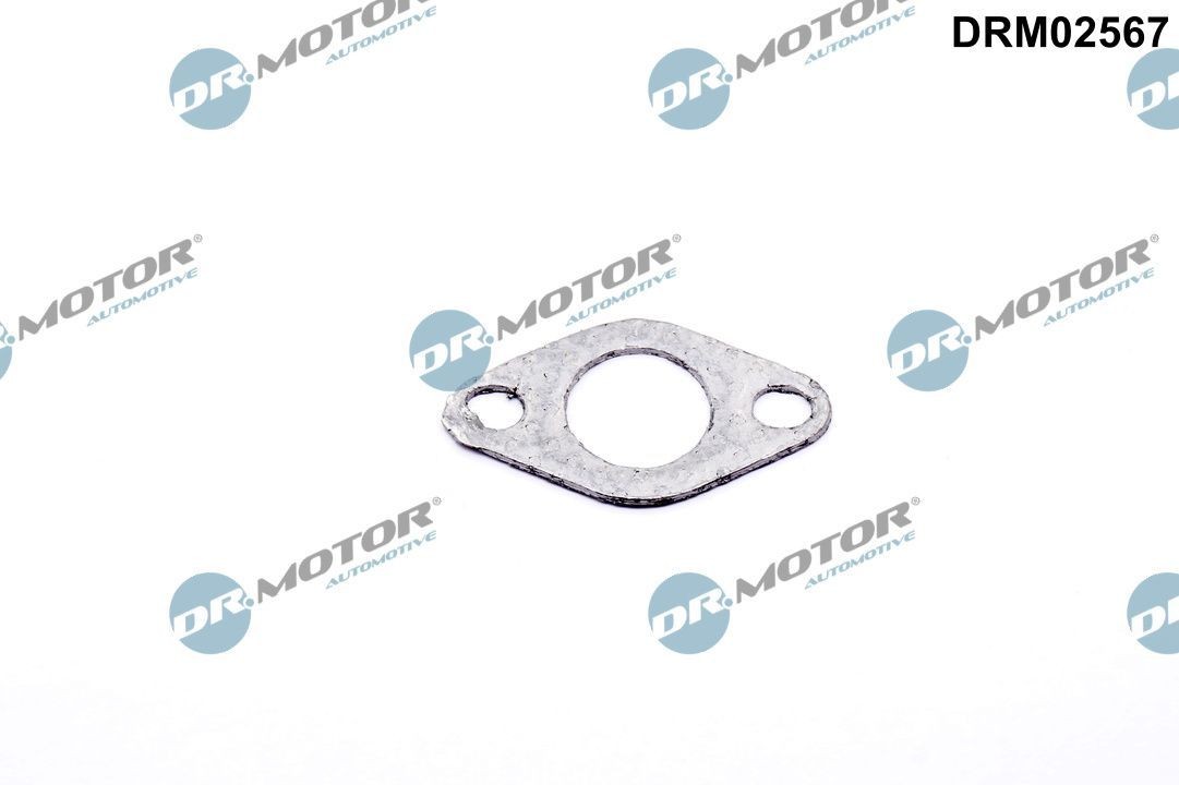 DR.MOTOR AUTOMOTIVE Tesnenie, ventil sekundárneho vzduchu DRM02567 DR.MOTOR AUTOMOTIVE DRM02567 originálne Tesnenie, agr-ventil 3 Coupe (E46) cena