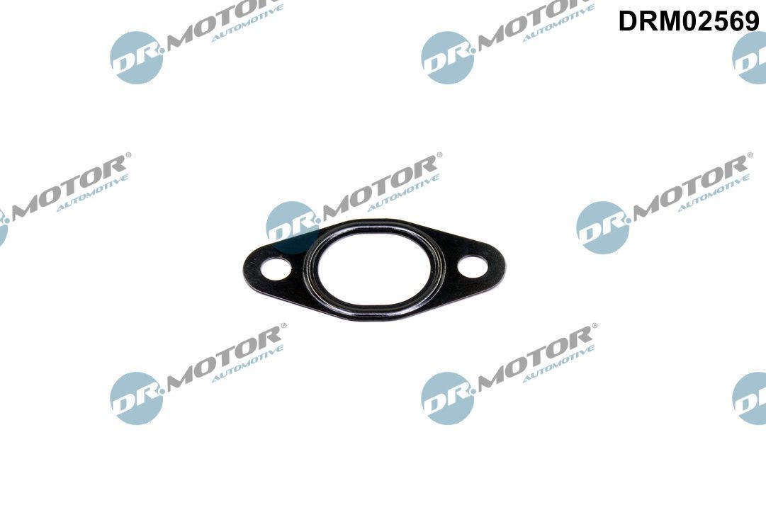 DR.MOTOR AUTOMOTIVE Gasket, EGR valve pipe DRM02569 DR.MOTOR AUTOMOTIVE DRM02569 genuine BMW E10 egr valve gasket price