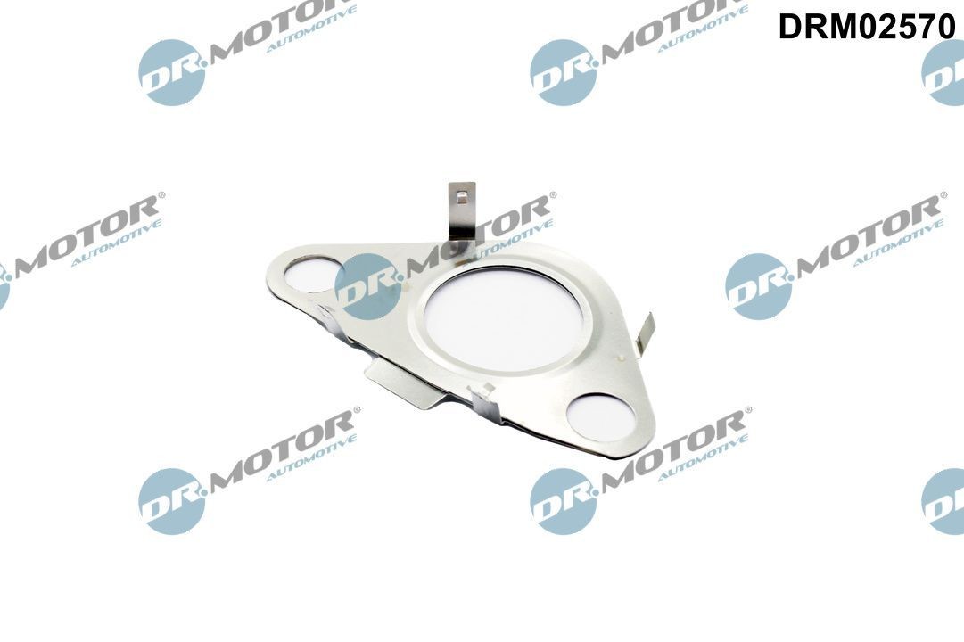 DR.MOTOR AUTOMOTIVE Dichtung, Leitung AGR-Ventil DRM02570 DR.MOTOR AUTOMOTIVE DRM02570 AGR Ventil Dichtung Mini Clubman F54 Kosten