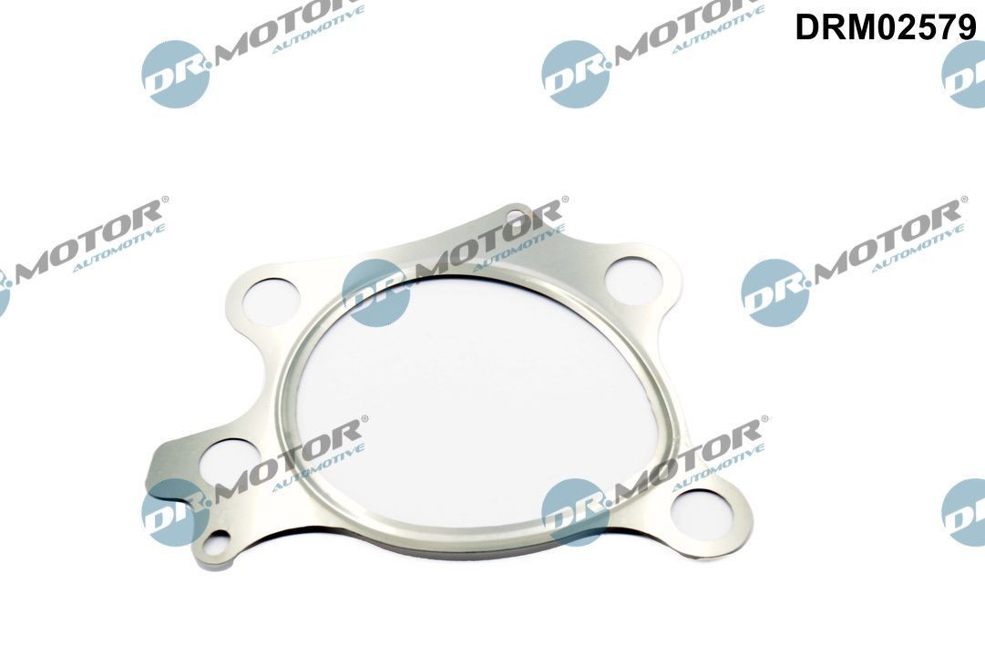 DR.MOTOR AUTOMOTIVE Junta, tubo de escape DRM02579 DR.MOTOR AUTOMOTIVE DRM02579 originais Juntas de escape Mazda 3 bm custo