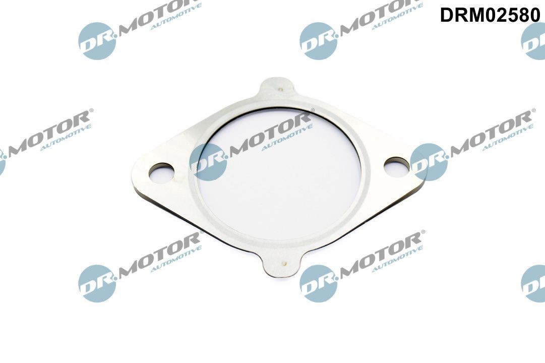 DR.MOTOR AUTOMOTIVE Afdichting, AGR klep DRM02580 DR.MOTOR AUTOMOTIVE DRM02580 Egr-klep pakking Mazda 6 Sedan GH prijs