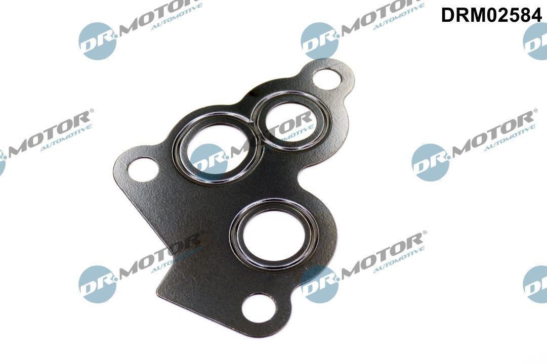 DR.MOTOR AUTOMOTIVE Φλάντζα, περίβλ. φίλτρου λαδιού DRM02584 DR.MOTOR AUTOMOTIVE DRM02584 Φλάντζα, περίβλ. φίλτρου λαδιού MAZDA 929 II Coupe (HB) φθηνά