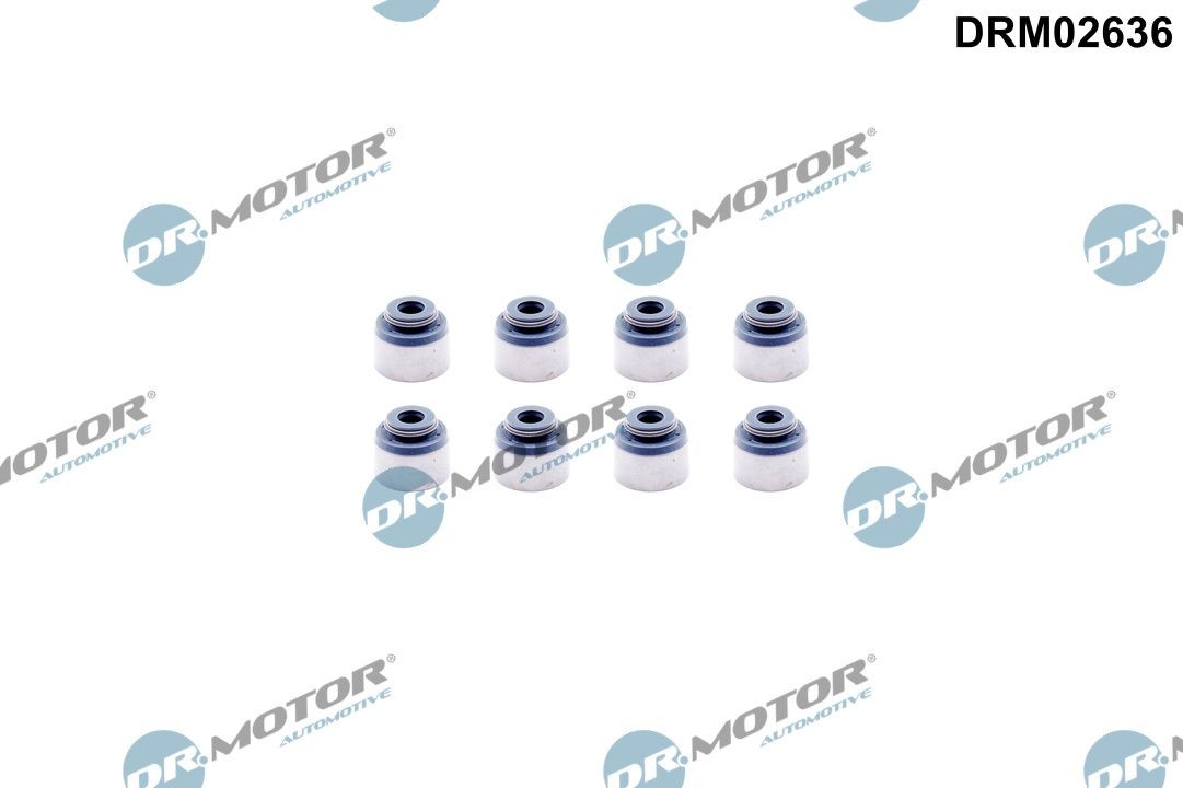 DR.MOTOR AUTOMOTIVE Ventilschaftdichtung DRM02636 DRM02636 Ventilschaftabdichtung SUZUKI SAMURAI DR.MOTOR AUTOMOTIVE kaufen