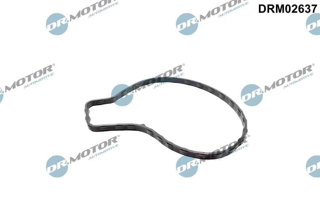 DR.MOTOR AUTOMOTIVE Packning, vattenpump DRM02637 Byta Packning vattenpump Toyota Prius 2 kostnad DR.MOTOR AUTOMOTIVE DRM02637