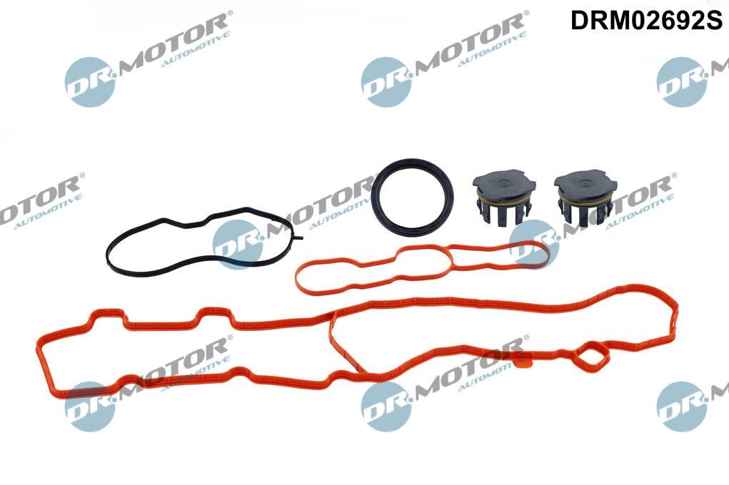 DR.MOTOR AUTOMOTIVE Blīvju komplekts, Motora bloka galvas vāks DRM02692S DR.MOTOR AUTOMOTIVE DRM02692S Blīve stūres mehānisma karteris Peugeot 308 SW Universālis par izdevīgu cenu