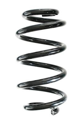 SPIDAN Fjær GKNW10250 Spiralfjær BMW SPIDAN GKNW10250