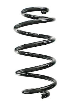 SPIDAN Fjær GKNW10252 Fjærer SPIDAN BMW GKNW10252