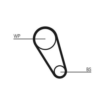 CONTITECH Water pump and timing belt kit CT1185WP6 CONTITECH CT1185WP6 SKODA Octavia IV Combi (NX5) water pump and timing belt kit replacement