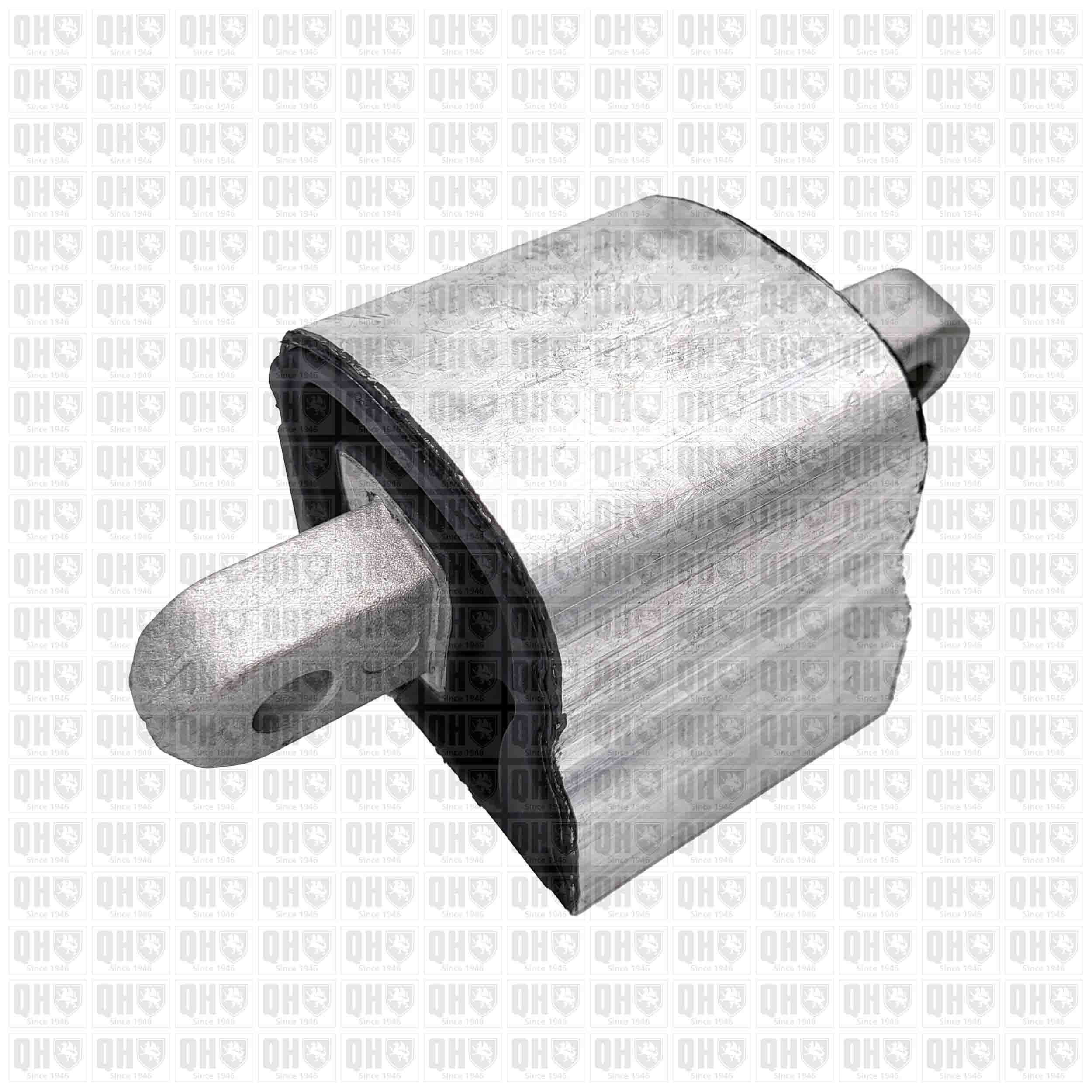 QUINTON HAZELL Motorkudde EM4933 Byta Motorfäste Mercedes Vito Mixto W447 kostnad QUINTON HAZELL EM4933