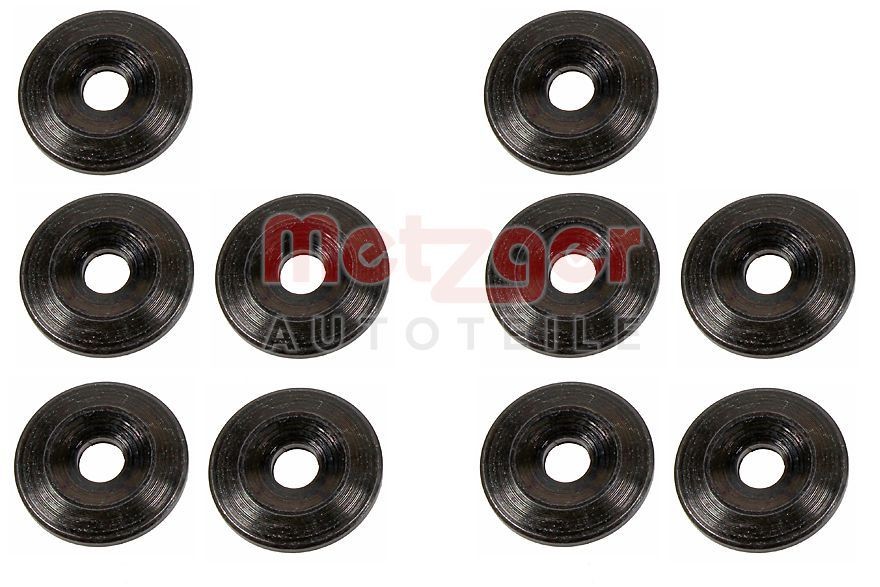 METZGER Piastra termoisolante, Impianto iniezione 0873080 METZGER 0873080 Piastra termoisolante, impianto iniezione Renault Megane 3 Coupe prezzo
