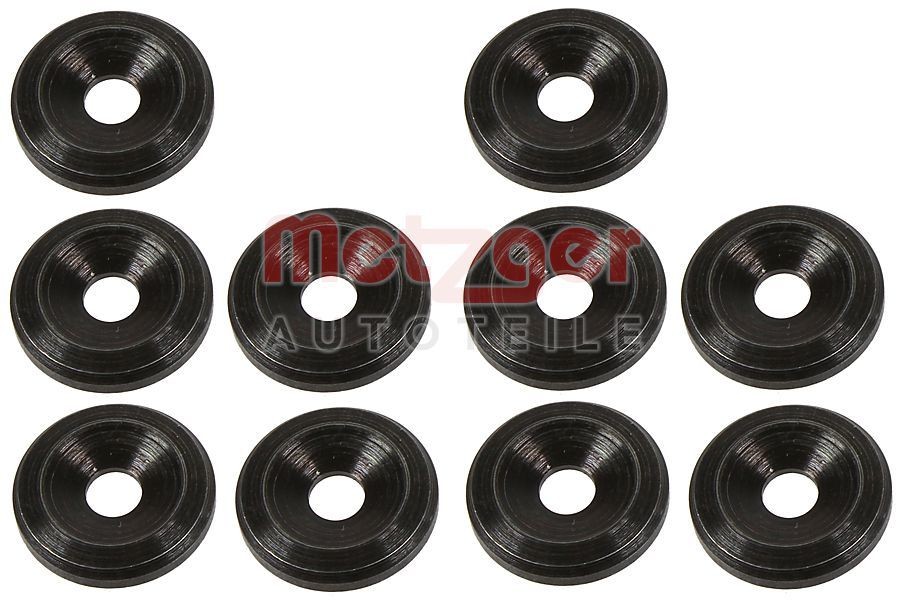 METZGER Piastra termoisolante, Impianto iniezione 0873095 METZGER 0873095 Piastra termoisolante, impianto iniezione Renault Megane 3 Coupe prezzo