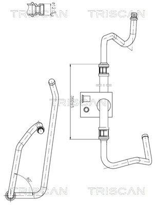 Stuurbekrachtiging slang TRISCAN 8516 28013 TRISCAN 8516 28013: Hydraulische slang besturing Peugeot 206 2009
