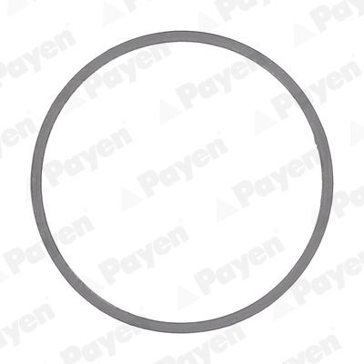 Pakning, udstødningsrør PAYEN JE5097 PAYEN JE5097 Pakning udstødningsrør BMW 1-serie 2020