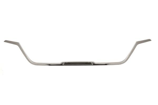 Modanatura decorativa / protettiva, Griglia radiatore BLIC 6502-07-6066991P BLIC 6502-07-6066991P Griglia Renault TRAFIC 2007